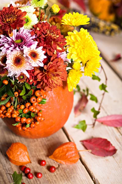 Stock image Autumn flowers