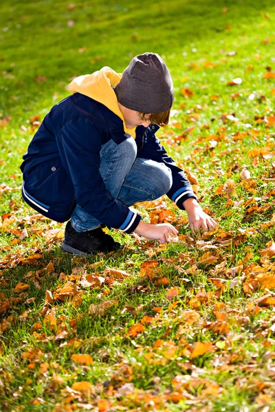 Chłopiec w parku jesień — Zdjęcie stockowe