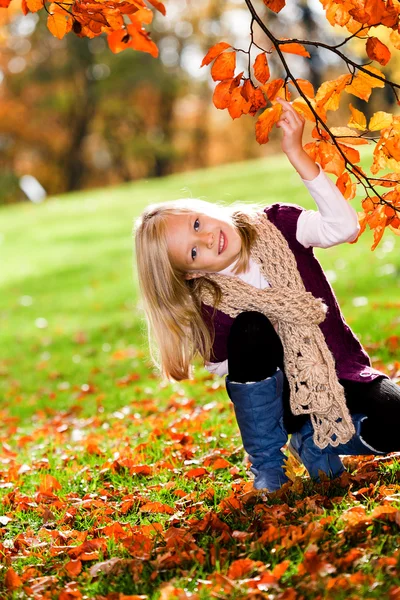 Sonbahar parkındaki kız. — Stok fotoğraf