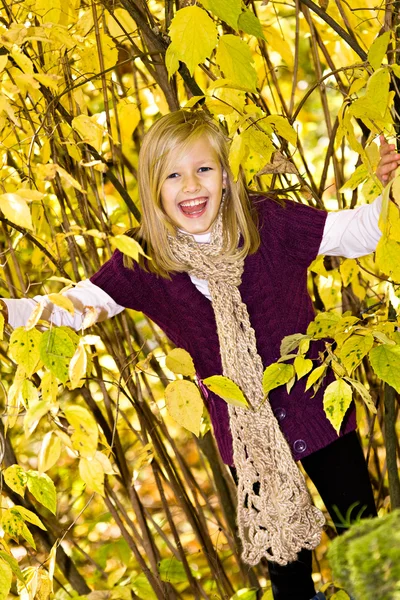 가을 공원에 있는 소녀 — 스톡 사진