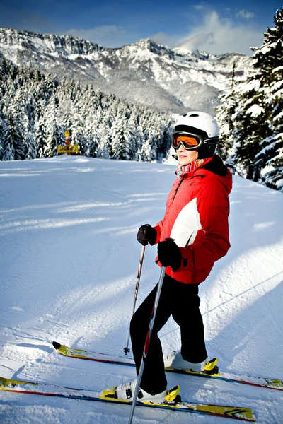 Alfinete de esqui — Fotografia de Stock
