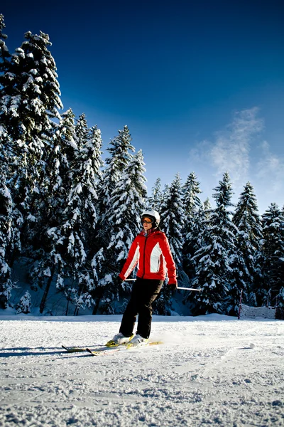 アルペンをスキーします。 — ストック写真