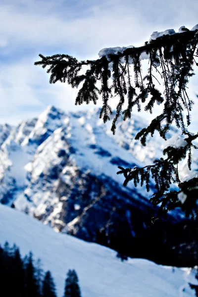 Alpes en hiver — Photo