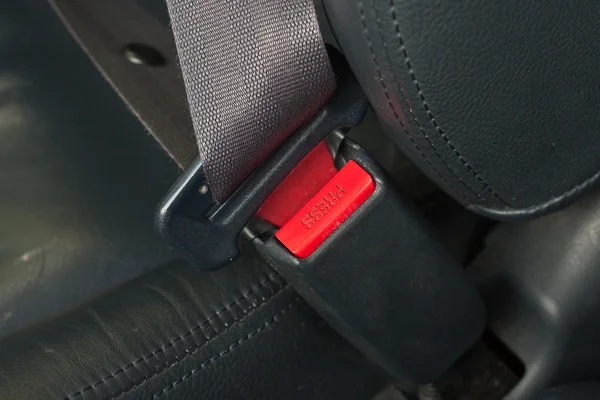 stock image Seat belt