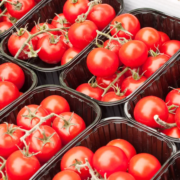 Tomate cereja — Fotografia de Stock