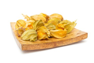 Physalis