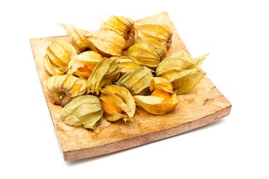 Physalis