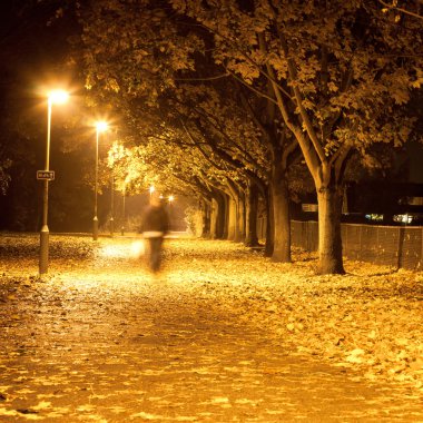 Path at night clipart