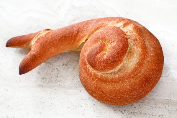 Salyangoz Fransız ekmeği şeklinde — Stok fotoğraf