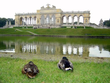 Two ducks by the Gloriette clipart