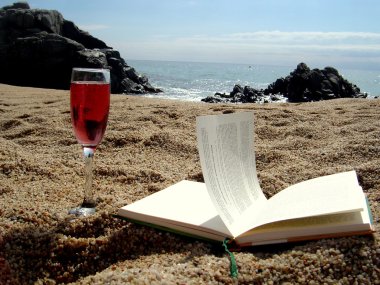 Sunny day at the beach with the book. clipart