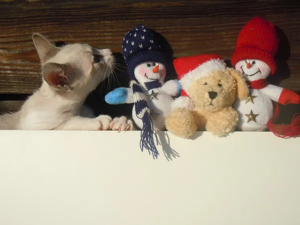 メリー クリスマスすべての動物愛好家. — ストック写真