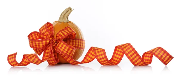 Decorated pumpkin — Stock Photo, Image