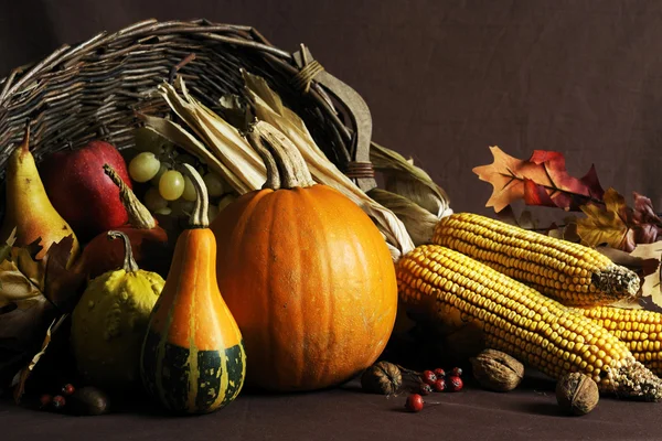 秋の収穫 — ストック写真