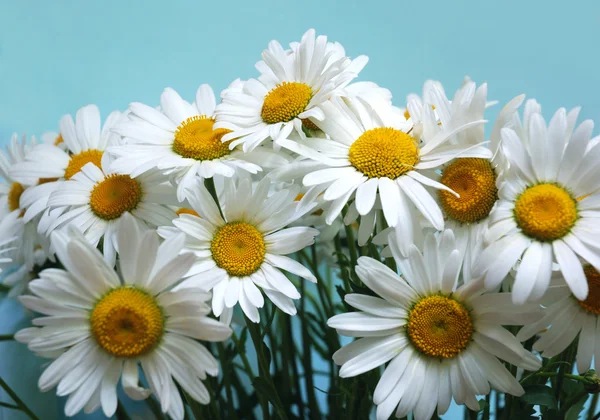 Csokor fehér virág — Stock Fotó