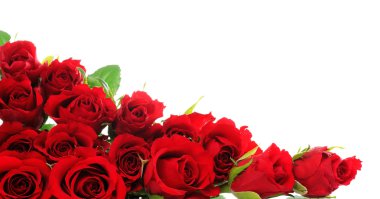 Red roses clipart