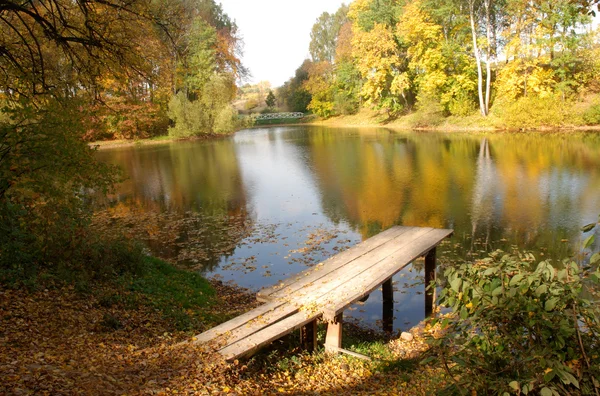 stock image Autumn