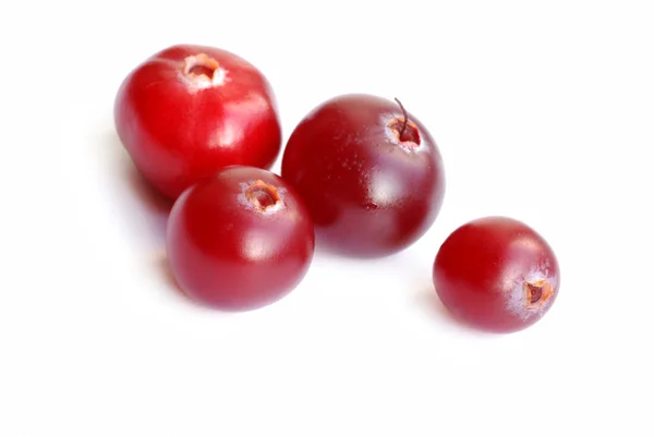 Красные ягоды — стоковое фото