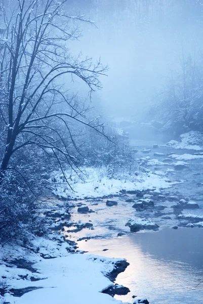 冬の川 — ストック写真