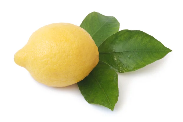 Zitrone mit Blättern — Stockfoto