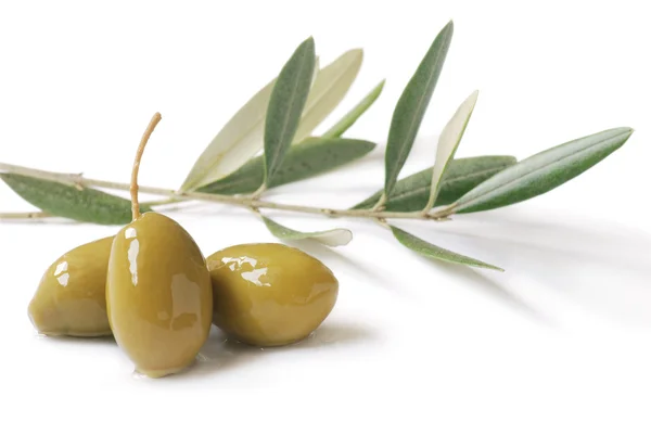 stock image Olives with leaves