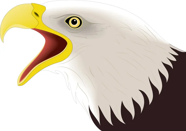 Eagle 7 — Stockvector