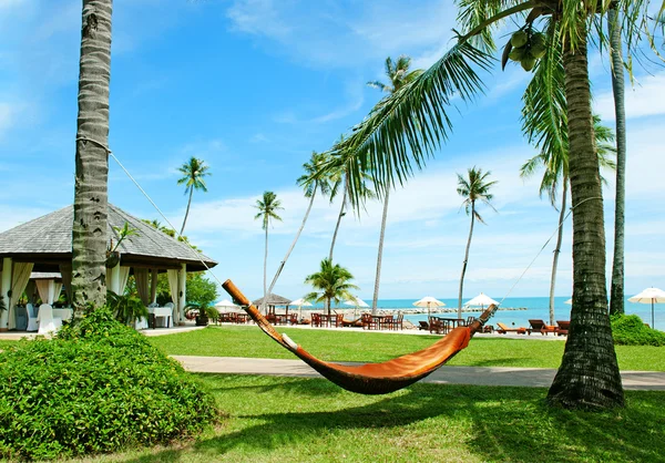 Hamak tropikal plajda palmiye ağaçları arasında — Stok fotoğraf