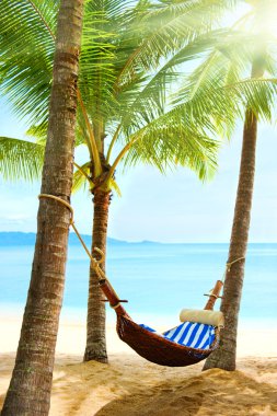 Empty hammock between palm trees clipart