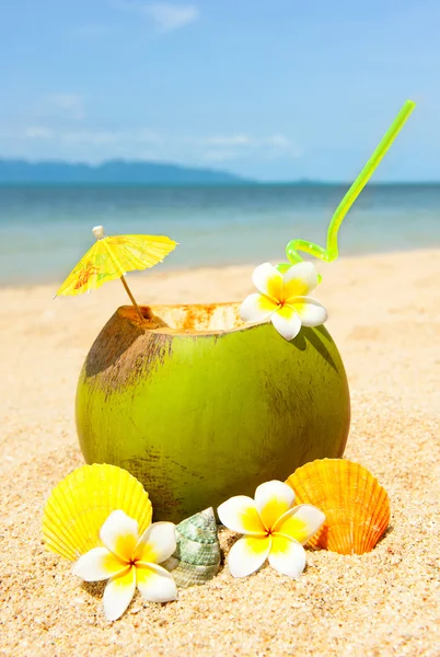 Океанский пляж с пальмами и кокошником — стоковое фото