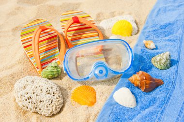 Seashells and diving mask on the ocean beach clipart