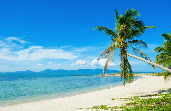 热带海滩-度假背景 — 图库照片