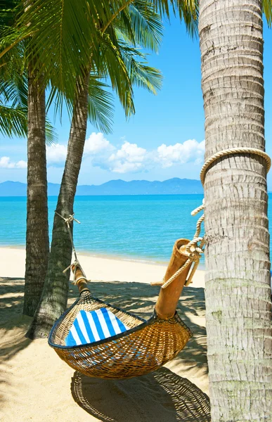 Empty hammock between palms trees — Stock Photo, Image