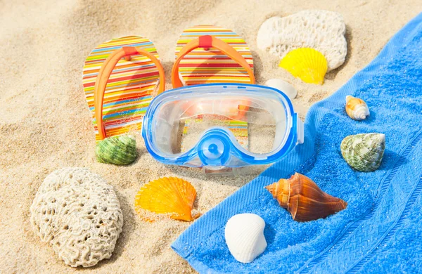 Snäckskal och dykning mask på stranden — Stockfoto