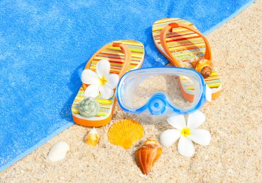 Seashells and diving mask on the beach clipart