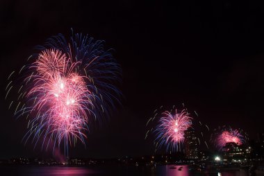 Sydney Harbour NYE Fireworks clipart