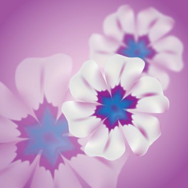 Blurry flower background_lilac clipart