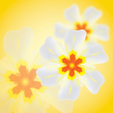 Blurry flower background_yellow clipart