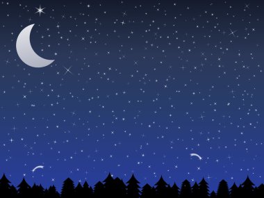 Night in a forest clipart