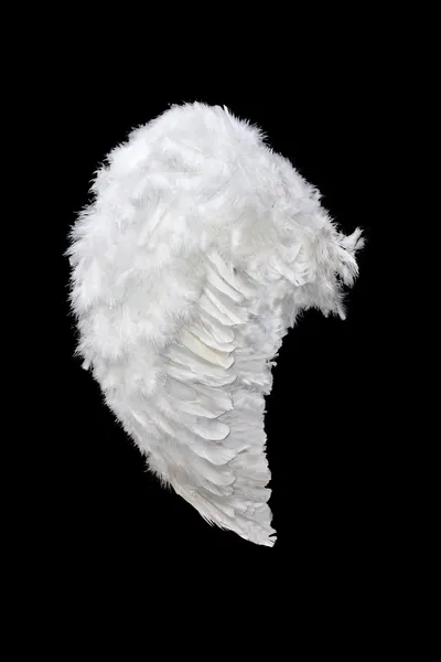 Vit ängel vinge — Stockfoto