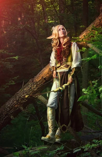 Elfo del bosque —  Fotos de Stock