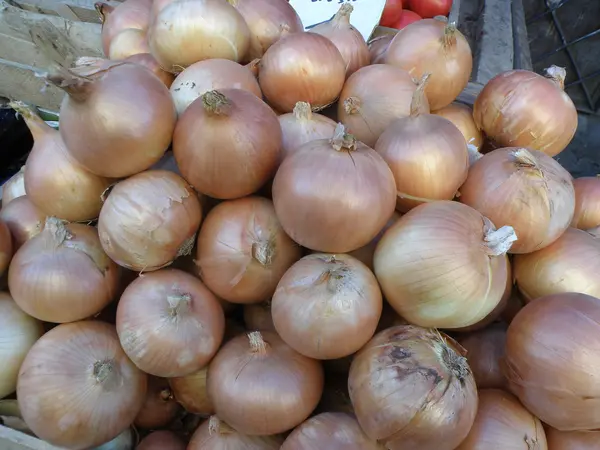 stock image Onions on a Market