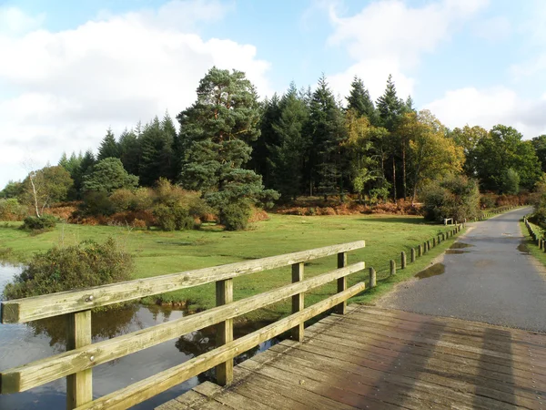 Mountain road with wooden bridge