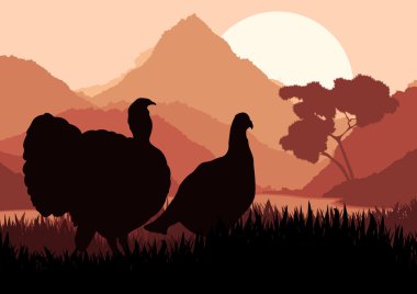 Wild turkey hunting season landscape background illustration clipart