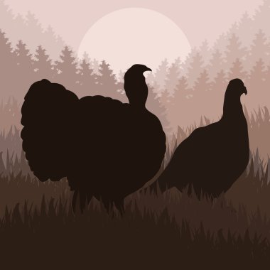 Wild turkey hunting season landscape background illustration clipart