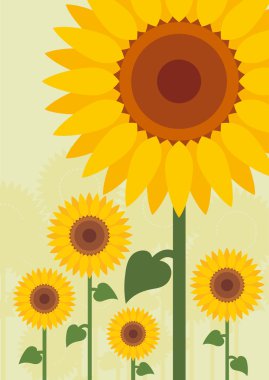 Yellow sunflowers landscape background illustration clipart