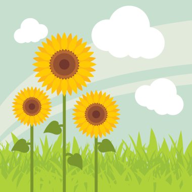 Yellow sunflowers landscape background illustration clipart