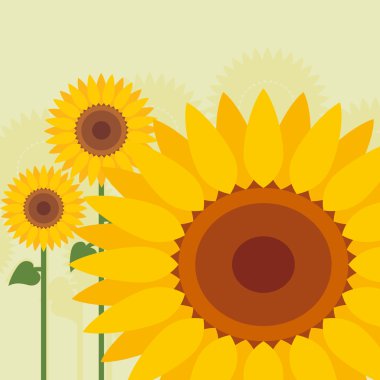 Yellow sunflowers landscape background illustration clipart