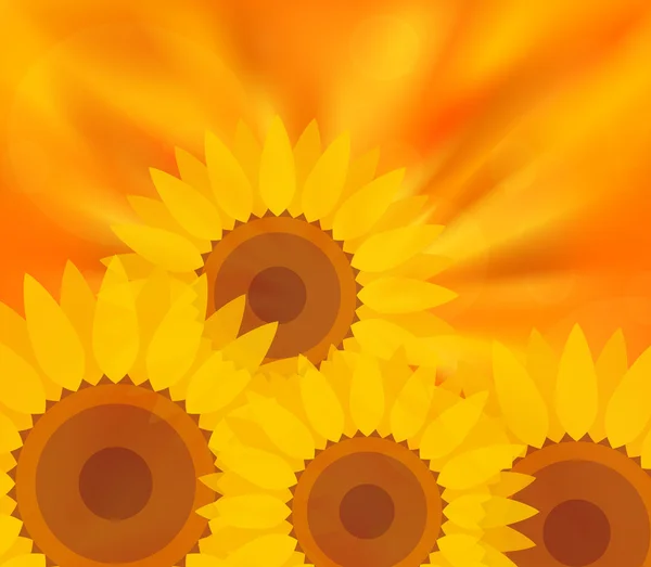 Latar belakang vektor bunga matahari kuning - Stok Vektor
