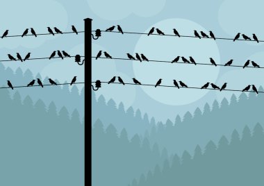 Birds on wires in autumn countryside landscape background illustration clipart