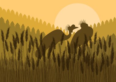 Crane couple in wild nature landscape illustration clipart